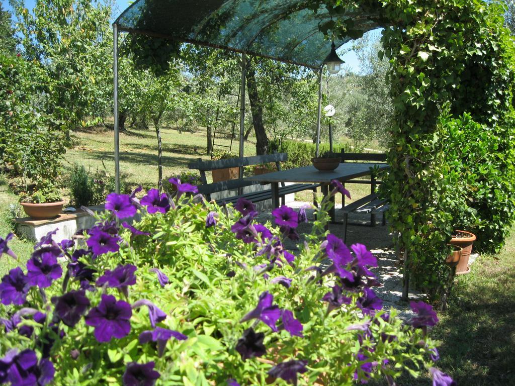 Ferienwohnung Oliveta Tavarnelle Val di Pesa Zimmer foto
