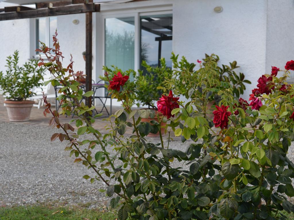 Ferienwohnung Oliveta Tavarnelle Val di Pesa Zimmer foto