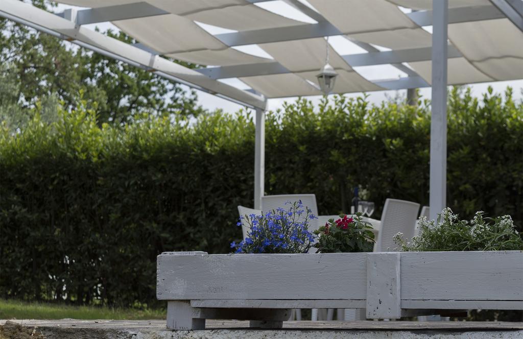 Ferienwohnung Oliveta Tavarnelle Val di Pesa Exterior foto